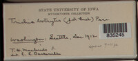 Image Associated With the Occurence